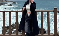 国产一区二区三区无码A片